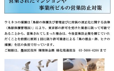 ウミネコ対策助成